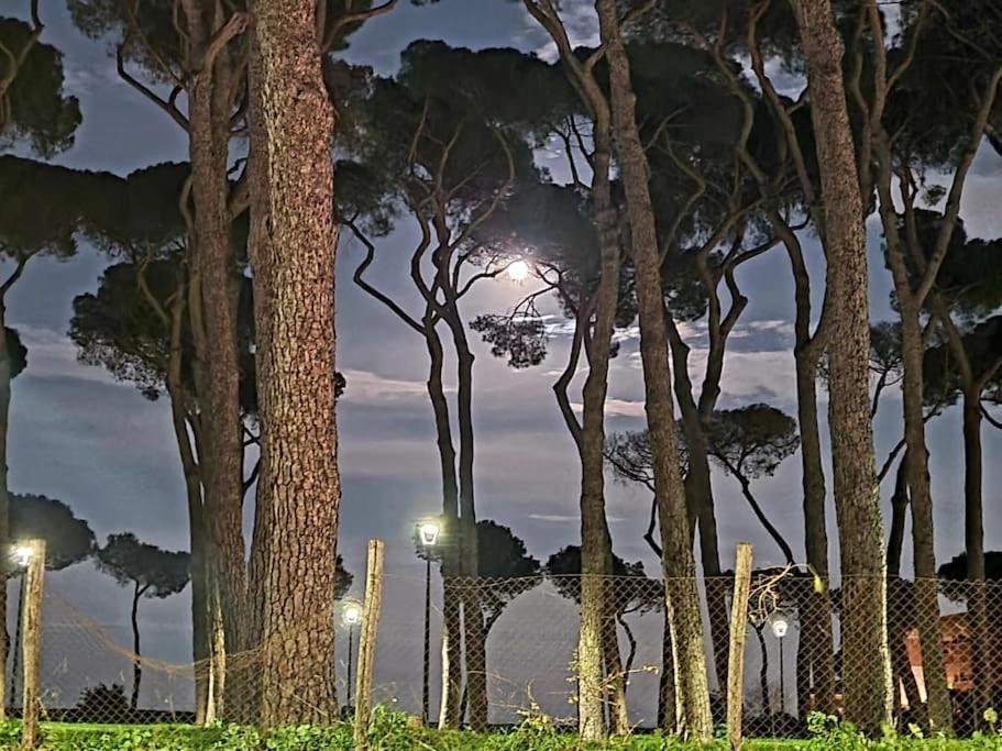 La Casa Della Pineta Casa vacanze